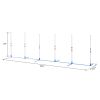 Dog Weave Pole Set, Agility Starter Kit for Outdoor Exercise Training